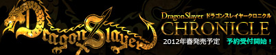 �ɥ饴�󥹥쥤�䡼�����˥��� DragonSlayer CHRONICLE