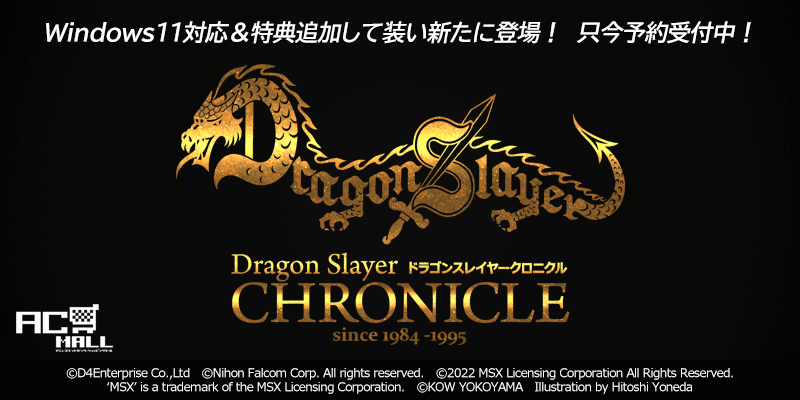 ドラゴンスレイヤークロニクル（Windows11対応版）（仮）